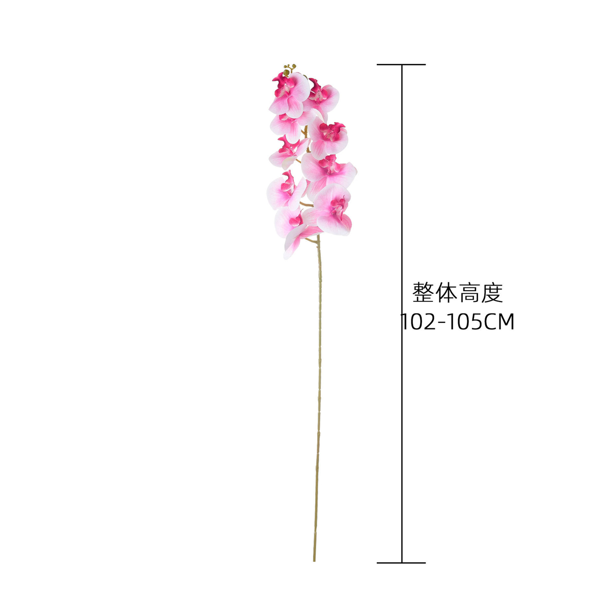 Multi-color Real Touch Artific - Florist Supply Bulk ulasan dan harga