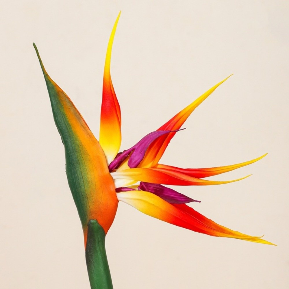 New Long Stem Artificial Bird  - Florist Supply Bulk ulasan dan harga